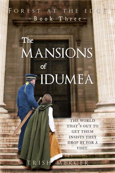 Cover for The Mansions of Idumea