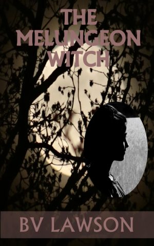 Cover for The Melungeon Witch