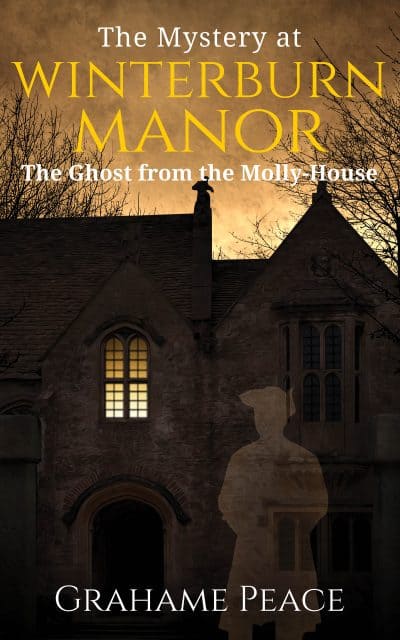 Cover for The Mystery at Winterburn Manor
