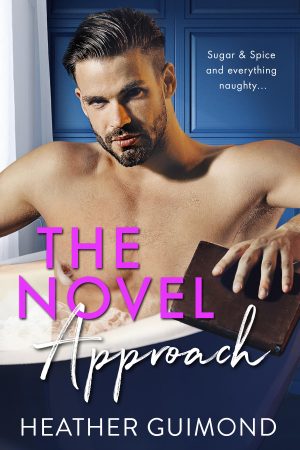 Cover for The Novel Approach
