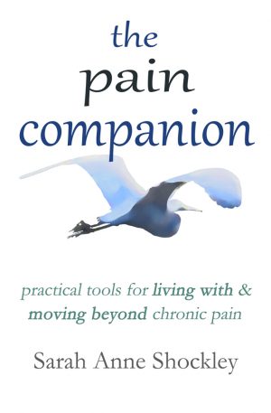 Cover for The Pain Companion