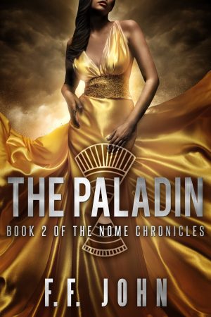 Cover for The Paladin
