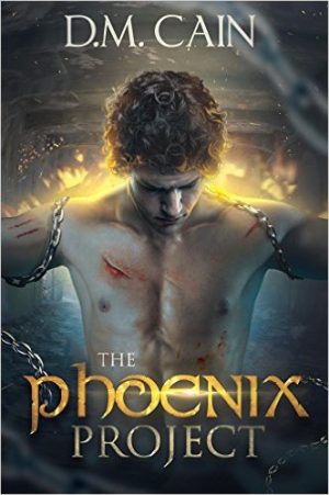 Cover for The Phoenix Project