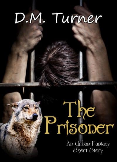 Cover for The Prisoner