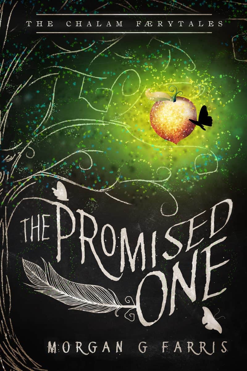 Cover for The Promised One