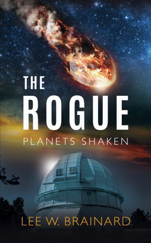 Cover for The Rogue