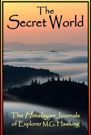Cover for The Secret World
