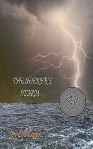 Cover for The Seeker's Storm