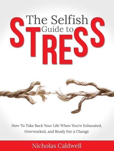 Cover for The Selfish Guide to Stress