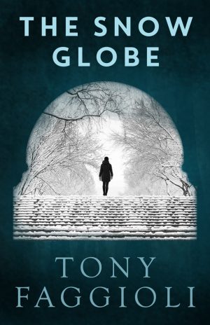 Cover for The Snow Globe