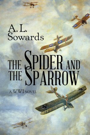 Cover for The Spider and the Sparrow