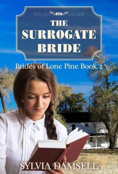 Cover for The Surrogate Bride