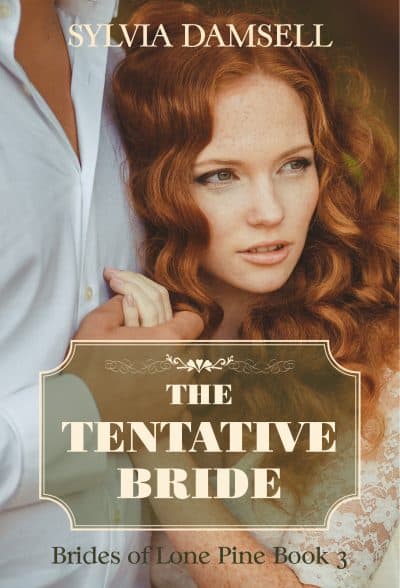 Cover for The Tentative Bride