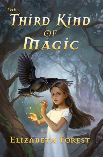 Cover for The Third Kind of Magic