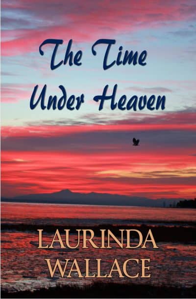Cover for The Time Under Heaven