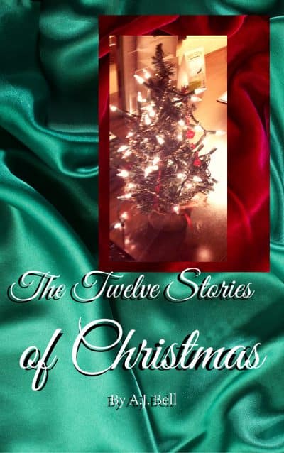 Cover for The Twelve Stories of Christmas