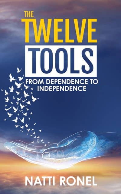 Cover for The Twelve Tools