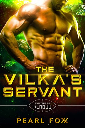 Cover for The Vilka's Servant
