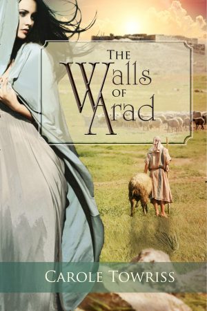 Cover for The Walls of Arad
