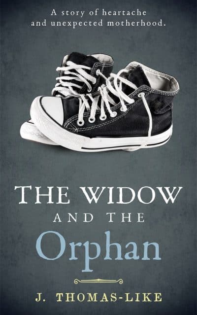 Cover for The Widow and the Orphan
