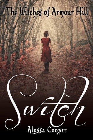Cover for Switch
