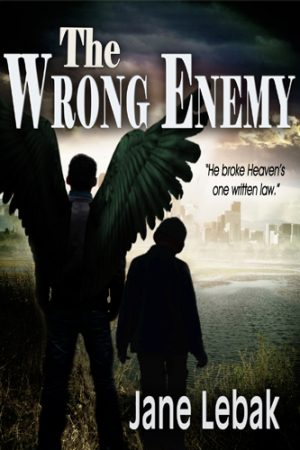 Cover for The Wrong Enemy