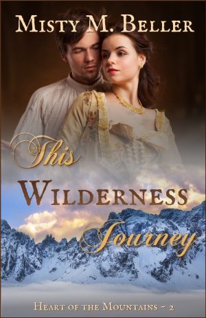 Cover for This Wilderness Journey