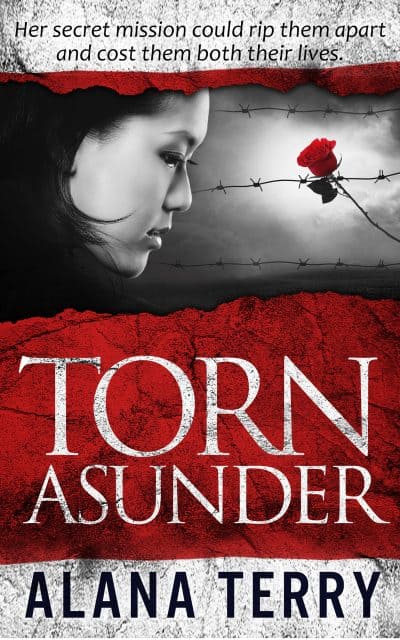 Cover for Torn Asunder