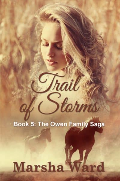 Cover for Trail of Storms