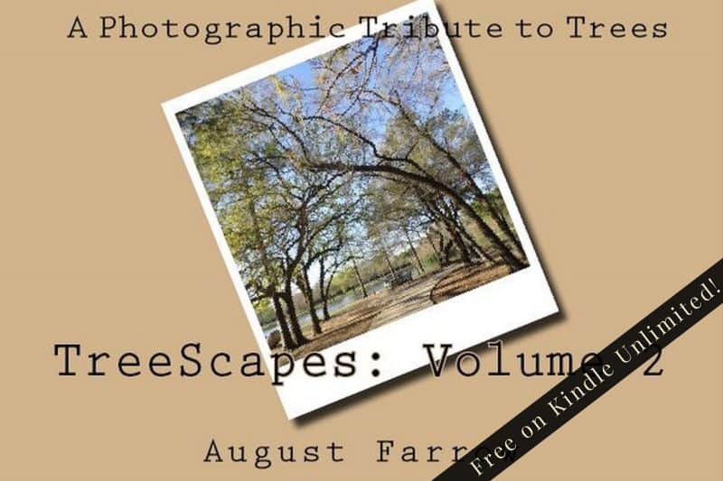 Cover for TreeScapes: Volume 2: A Photographic Tribute to Trees