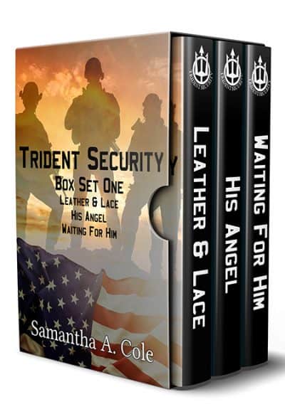 Cover for Trident Security Series Box Set One