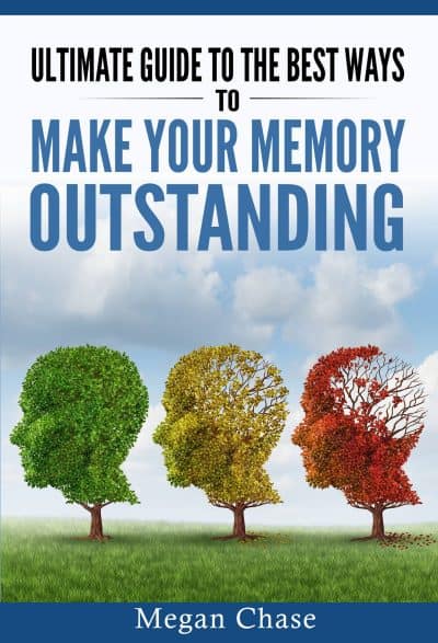 Cover for Ultimate guide to the best ways to make your memory outstanding