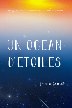 Cover for Un Océan D'étoiles
