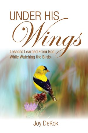 Cover for Under His Wings