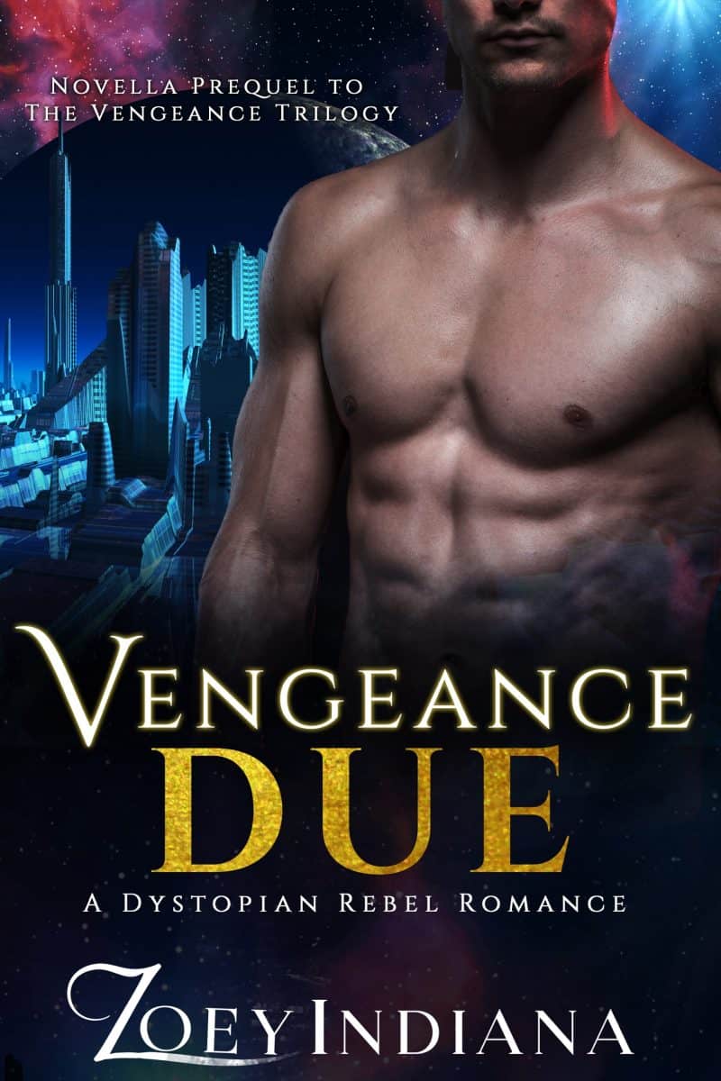 Cover for Vengeance Due: Novella Prequel to The Vengeance Trilogy