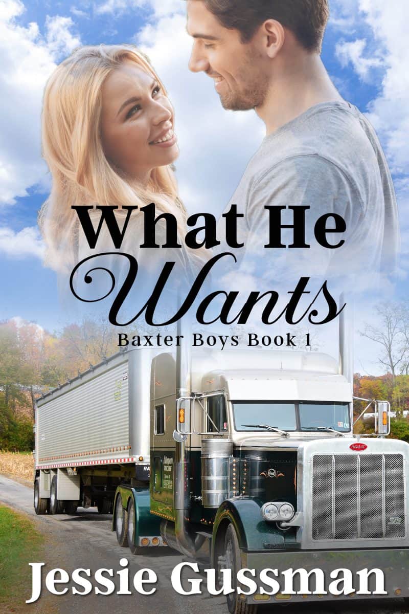 Cover for What He Wants: Baxter Boys Book 1