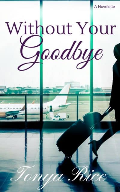 Cover for Without Your Goodbye