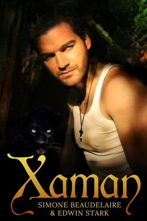 Cover for Xaman