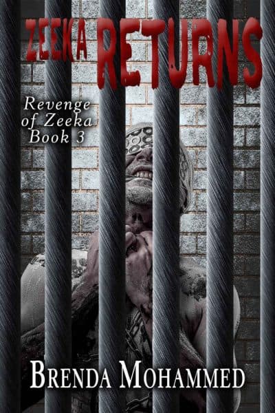 Cover for Zeeka Returns