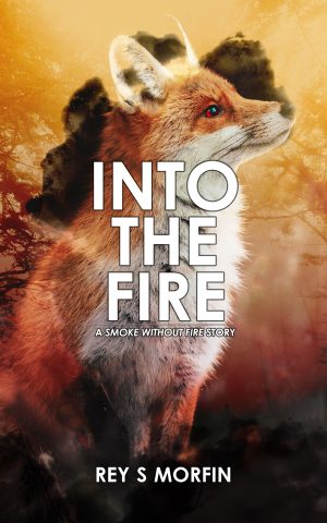 Cover for Into the Fire: A Smoke Without Fire Story