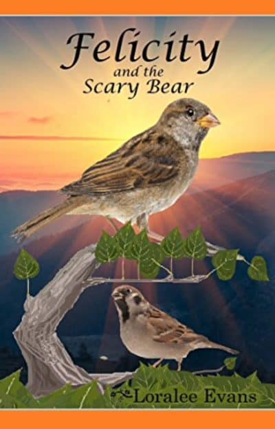Cover for Felicity and the Scary Bear