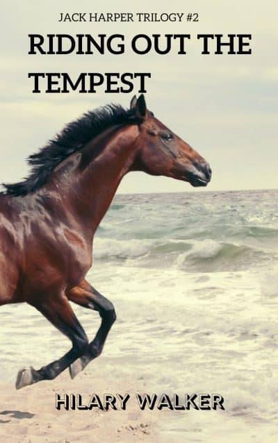 Cover for Riding Out the Tempest