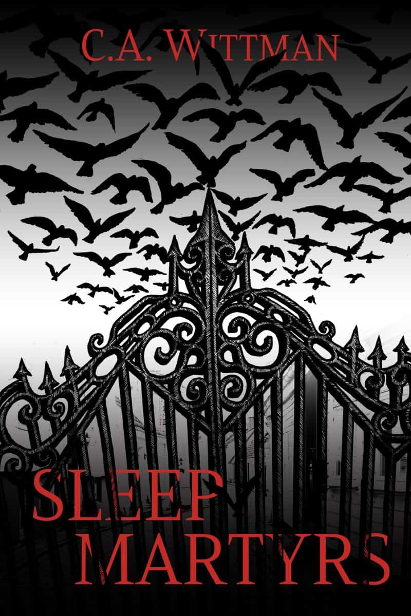 Cover for Sleep Martyrs