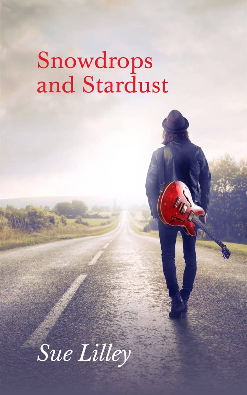 Cover for Snowdrops and Stardust