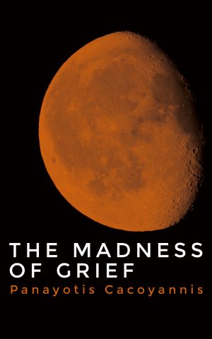 Cover for The Madness of Grief