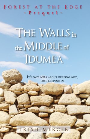 Cover for The Walls in the Middle of Idumea