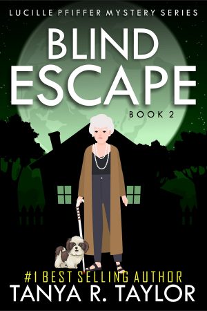 Cover for Blind Escape