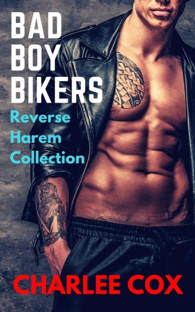 Cover for Bad Boy Bikers