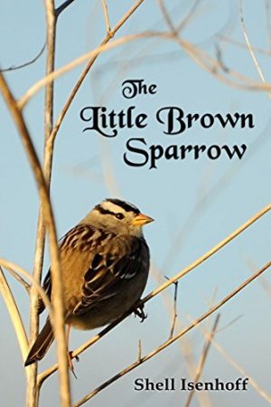 Cover for Little Brown Sparrow