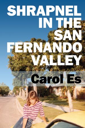 Cover for Shrapnel in the San Fernando Valley